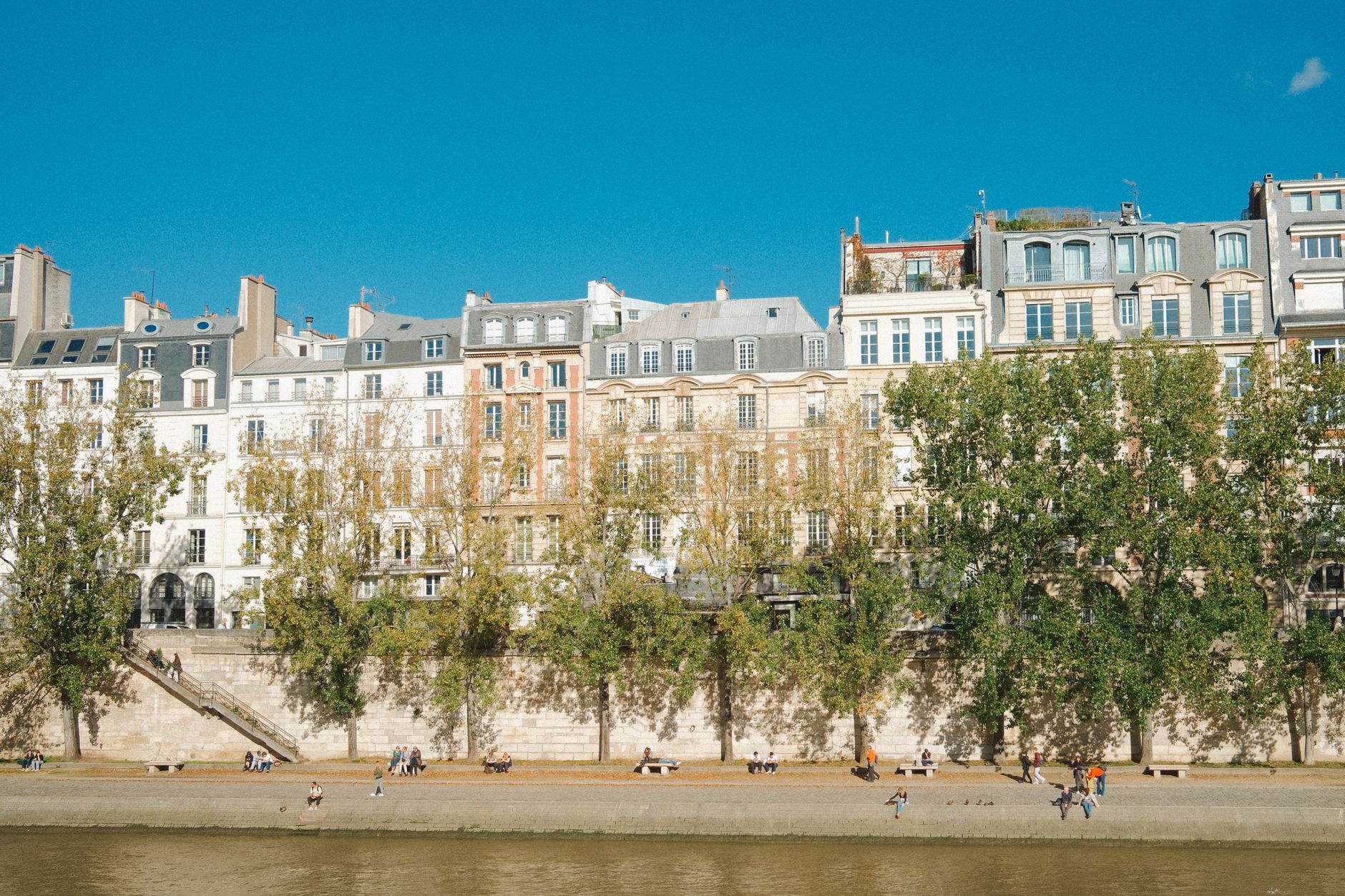 French center-left primary: The Best Path to Presidency